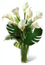 Calla Lily in a  vase