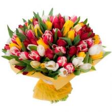 Mixed tulips vase